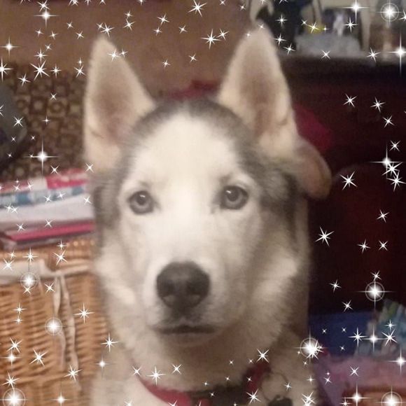 Meet your Posher, Danielle - Picture 1 of 1